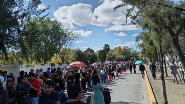 Se desvelan y aguantan el sol, todo por ver a Kings Of Leon