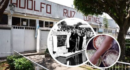 Lugares Xalapa: Esta es la historia de La Rotonda, referente por más de 70 años