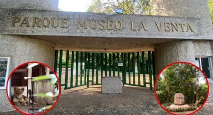 Por rescate de felinos en narco-rancho cierran el Parque Museo La Venta