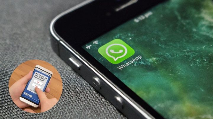 ¿Qué pasa si borro mis datos de whatsapp? y esto puedo hacer para recuperarlos