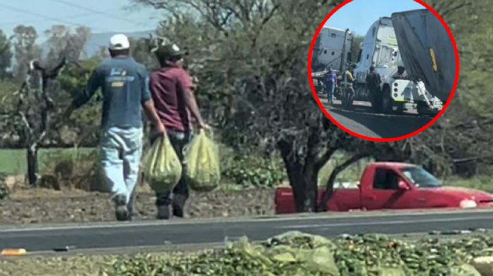 Rapiña: se roban chiles jalapeños tras accidente de camión | VIDEO