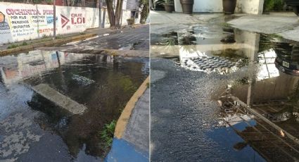 Escasez de agua en CDMX: Reportan fugas en Álvaro Obregón, Tlalpan y Coyoacán