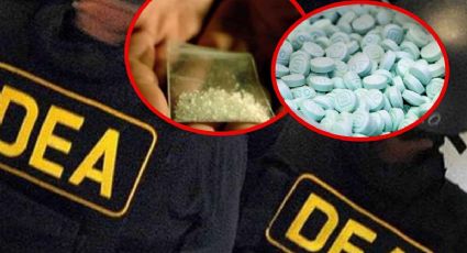 ¿Por qué no se ha ganado la guerra contra las drogas?