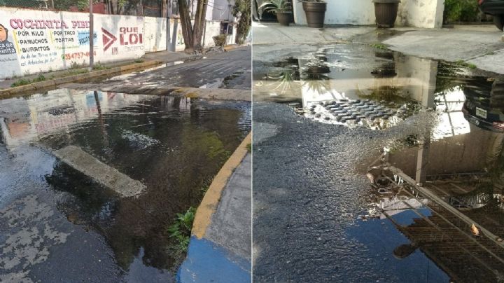 Escasez de agua en CDMX: Reportan fugas en Álvaro Obregón, Tlalpan y Coyoacán