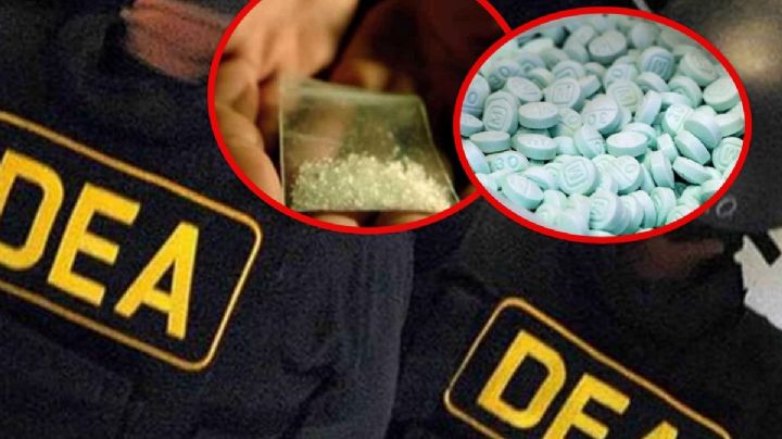 ¿Por qué no se ha ganado la guerra contra las drogas?