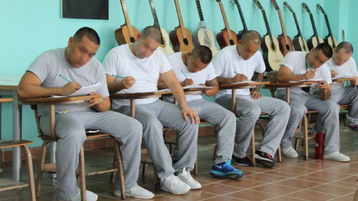 Niños armados en Guerrero: “Reflejo de la desesperación ante la ausencia de Estado de Derecho"