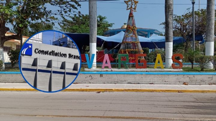 Constellation Brands: La promesa de empleo en Veracruz que llega a cuentagotas