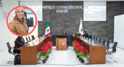 Sólo hubo una aspirante a diputada local por la vía independiente