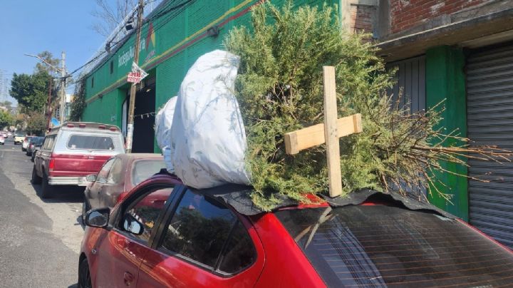 CDMX "recicla la magia": Abren centros de acopio para árboles de Navidad