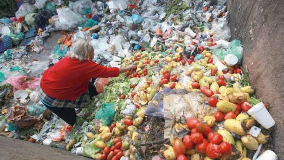 Método de la Central de Abastos de CDMX para combatir el desperdicio y la pobreza alimentaria.