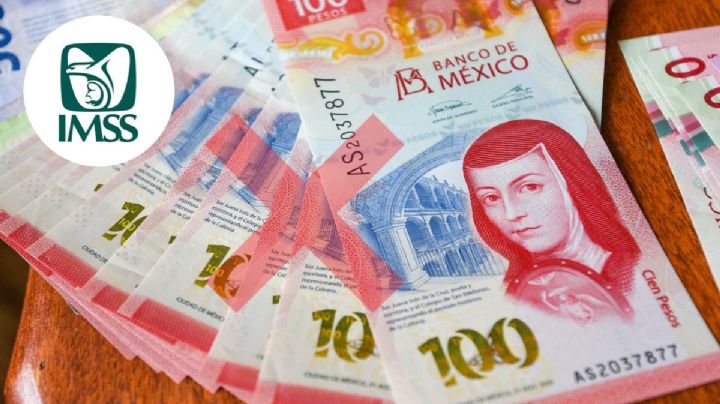 Pensión IMSS: Estos son los pensionados que se podrían quedar sin sus próximos pagos