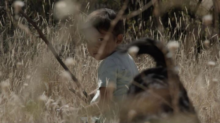 Ella es la directora de cine de Guanajuato que la rompió en el Festival de Sundance