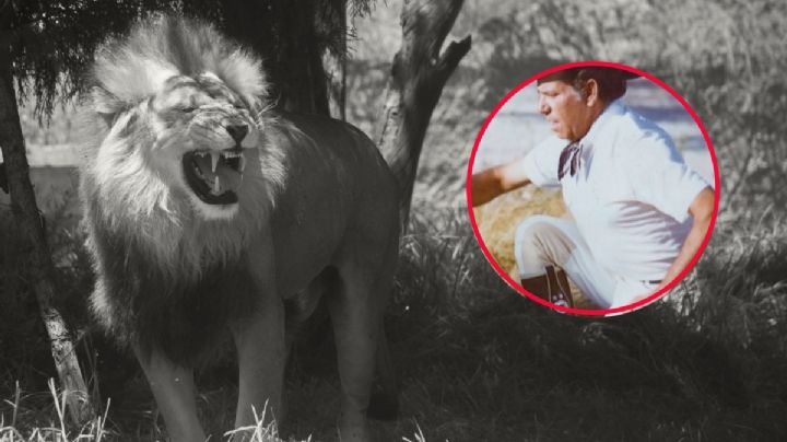 La trágica muerte del dueño de Africam Safari: esta es la historia