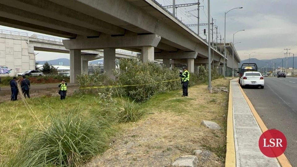 Mujer se arroja de las vías del Tren interurbano