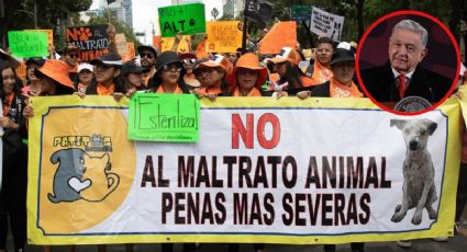 AMLO se vuelve animalista: busca prohibir y prevenir el maltrato