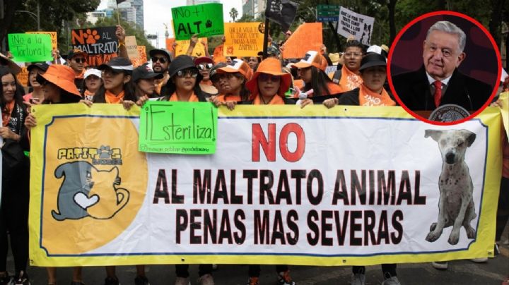 AMLO se vuelve animalista: busca prohibir y prevenir el maltrato