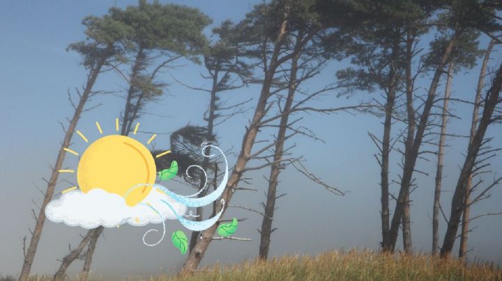 ¿Qué es una surada y cómo afecta al estado de Veracruz?