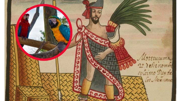Así fue el “zoológico” de Moctezuma en la gran Tenochtitlan