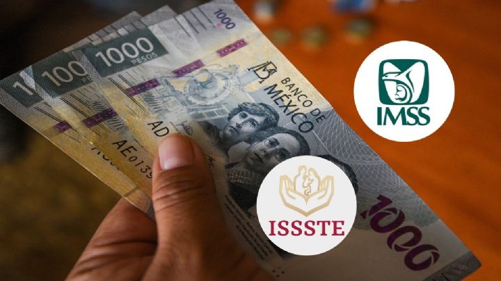 Reformas de AMLO: ¿Qué es el Fondo Semilla?, esto sabemos