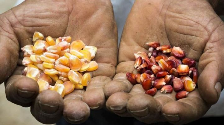 La soberanía energética y la seguridad alimentaria mexicanas