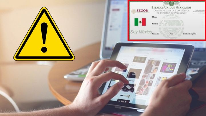 Así podrás descargar tu CURP GRATIS en 2024