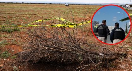 ¿Qué sabemos de los 9 cuerpos encontrados en San Juan del Río, Querétaro?