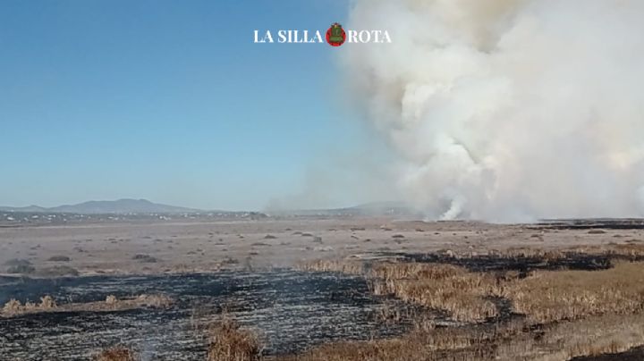 Se incendia pastizal cercano a la Laguna de Zumpango