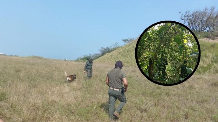 FGE busca a desaparecidos en predio de Coatzacoalcos, al sur de Veracruz