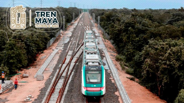 Los problemas de México 2024; el medio ambiente (VI)