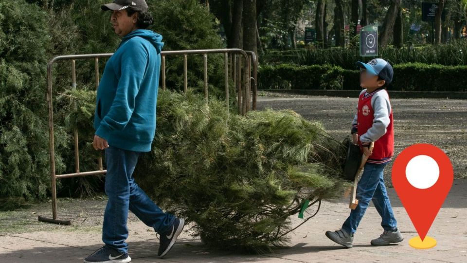 Reciclaje de árbol de Navidad