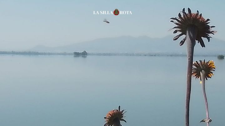 Vuelve a la vida Laguna de Zumpango: ¿Cómo puedes visitarla?