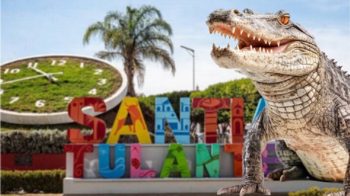 Cocodrilo deambula solo por calles de Tulantepec y espanta a habitantes; así es | FOTOS