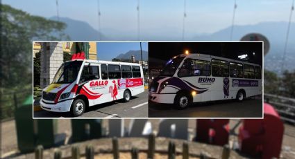 Autobuses Gallo y Búho en Orizaba; estos son los horarios y rutas de viajes gratis