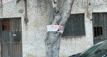 "En esta calle dan cristalazos y roban baterías": alertan vecinos del centro de León