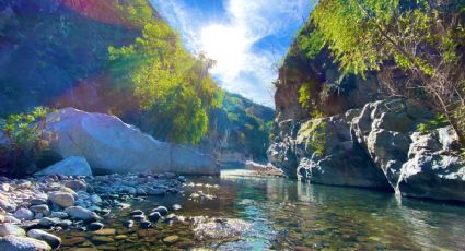 Ojo de Agua en Xichú: un espectacular manantial con aguas termales y cristalinas |VIDEO