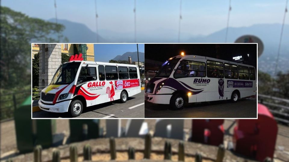 Autobuses Gallo y Búho en Orizaba; estos son los horarios y rutas de recorridos gratis