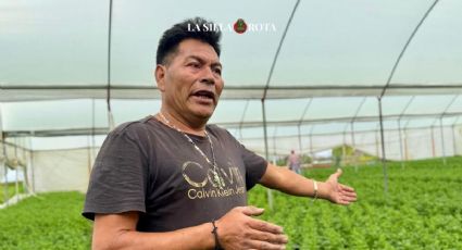 Día de Muertos: Desborde del Río Lerma y presas afectan flor de cempasúchil