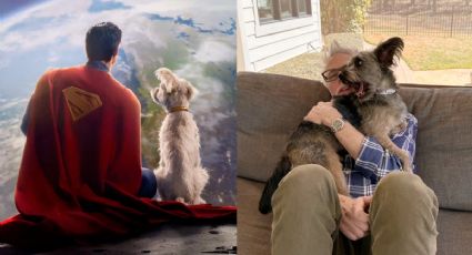 La trágica historia de Ozu, el perrito que será Krypto en Superman y se robó el corazón de James Gunn