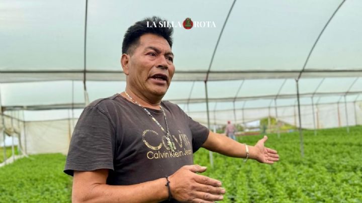 Día de Muertos: Desborde del Río Lerma y presas afectan flor de cempasúchil