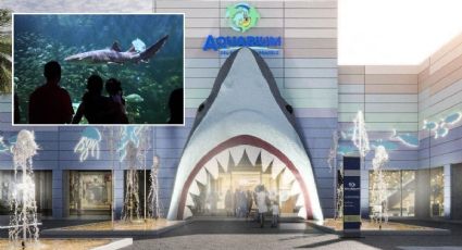 Nuevo Aquarium de Veracruz con delfines será inaugurado este día