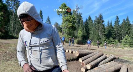 En Ocuilan, comuneros resguardan bosques ante el acecho de talamontes