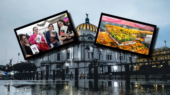 Estas son las actividades y eventos GRATIS del fin de semana; del Desfile de Alebrijes a la Feria del Libro