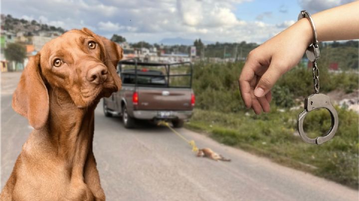 ¡Indignante! Hombre arrastra a un perro hasta quitarle la vida en Tulancingo