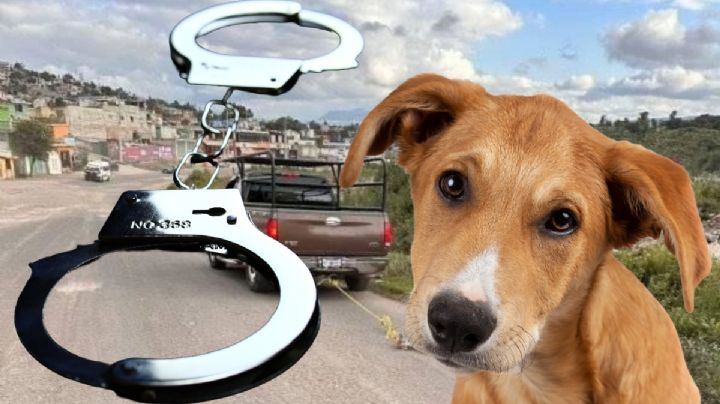 Sujeto que arrastró a perrito con un lazo hasta quitarle la vida ya está detenido
