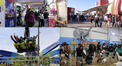 ¿Qué hacer este sábado en la Feria de Pachuca Hidalgo? Penúltimo día