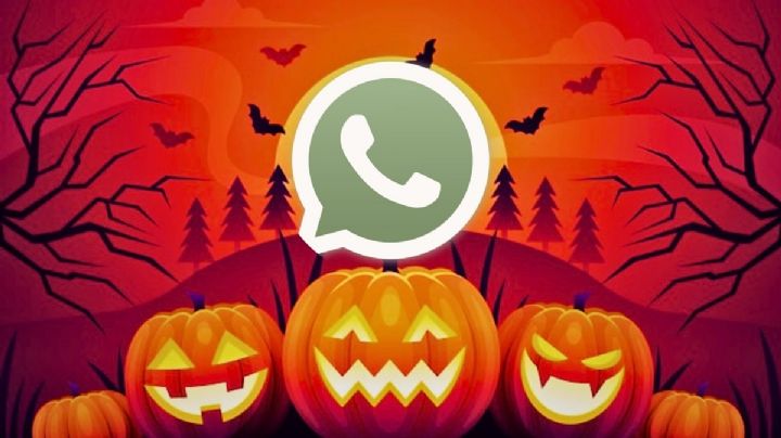 ¿Cómo activar el modo Halloween en WhatsApp? Sigue estos sencillos pasos