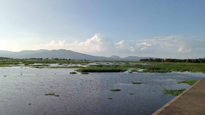 Este es el nivel de la presas en Guanajuato; El Palote no supera el 25%