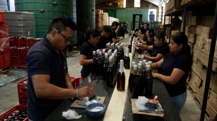 Ley Silla ¿De qué va la reforma aprobada en San Lázaro?