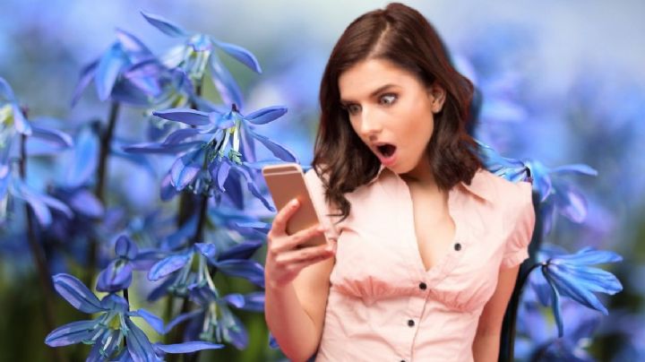 ¿Qué se celebra el 3 de octubre? La razón de vestir de rosa y regalar flores azules