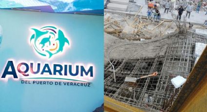 Por fuerte viento, colapsa estructura de construcción en el acuario de Veracruz